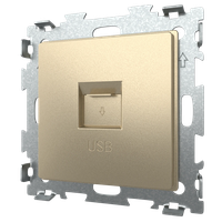 Розетка USB 2.1 шампань