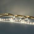 led лента Светодиодная лента 24V линзованная, светодиодная